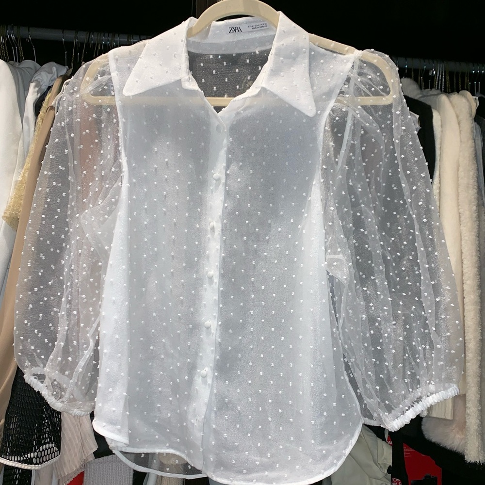 Elegant ZARA blouse ✨